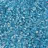 6/0 Transparent Inside Colours Glass Seed Beads SEED-N006-003D-3