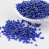 Round 8/0 Glass Seed Beads X-SEED-A006-3mm-108-1
