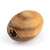 Natural Wood Beads X-WOOD-S663-10-2