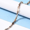 Natural Black Sunstone Beads Strands G-G018-03B-4