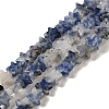 Natural Blue Spot Jasper Beads Strands G-G085-B41-02-1