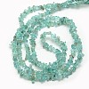 Natural Apatite Chip Beads Strands X-G-L154-23-3