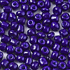 6/0 Glass Seed Beads SEED-S058-A-F304-3