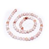 Natural Cherry Blossom Agate Beads Strands G-I249-B01-01-2