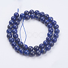 Natural Lapis Lazuli(Filled Color Glue) Beads Strands X-G-K269-02-8mm-2