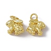 Rack Plating Brass Charms KK-C007-17G-3