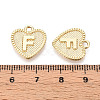 Alloy Pendants PALLOY-N157-001F-NR-3