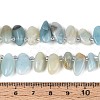 Natural Flower Amazonite Beads Strands G-Z091-A36-5