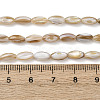 Natural Freshwater Shell Beads Strands SHEL-K006-78A-4