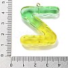 Resin Pendant FIND-Q107-01Z-02-3