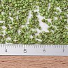 MIYUKI Delica Beads X-SEED-J020-DB2265-4