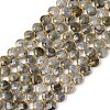 Natural Labradorite Beads Strands G-K389-B66-01-5