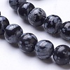 Natural Snowflake Obsidian Beads Strands G-D855-11-6mm-3