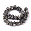 Natural Syenite Beads Strands G-N327-05-27-2
