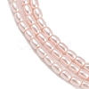 Electroplated Shell Pearl Beads Strands BSHE-H113-06A-07-3