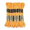 10 Skeins 6-Ply Polyester Embroidery Floss OCOR-K006-A48-1