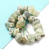 Raw Rough Natural Prehnite Beads Strands G-P528-A05-01-2