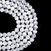 Natural Selenite Beads Strands G-N328-025B-02-3