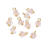 Electroplate Glass Charms PALLOY-JF04004-4