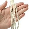 Eco-Friendly Dyed Glass Pearl Round Beads Strands HY-A002-4mm-RB011-4