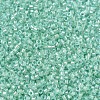 MIYUKI Delica Beads SEED-MY11-DB1707-3