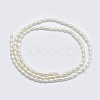 Natural Cultured Freshwater Pearl Beads Strands PEAR-F007-83-2