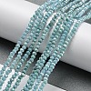 Opaque Baking Paint Glass Beads Strands DGLA-F002-03A-2