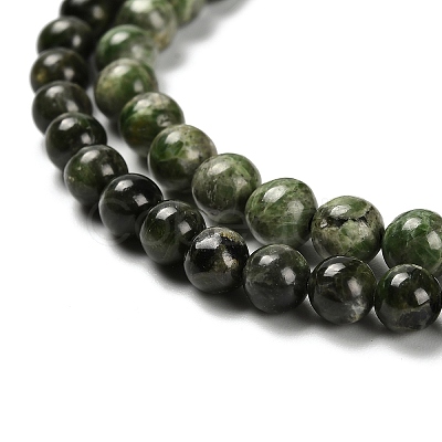 Natural Diopside Beads Strands G-R006-A01-03-1