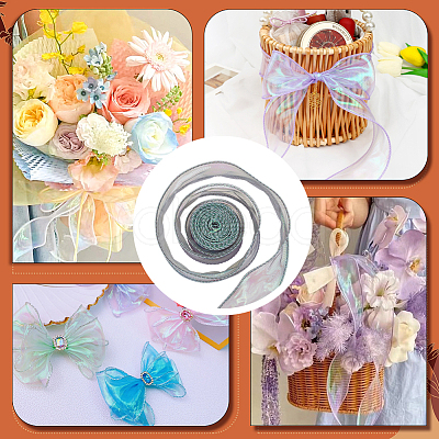 Polyester Iridescent Ribbon OCOR-WH20002-08A-1