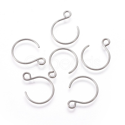 Tarnish Resistant 304 Stainless Steel Earring Hooks STAS-O119-10P-B-1