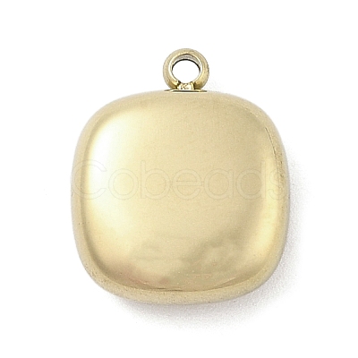 316 Surgical Stainless Steel Charms STAS-S159-02C-G-1