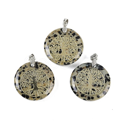 Natural Dalmatian Jasper Flat Round Pendants G-Q188-01P-14-1