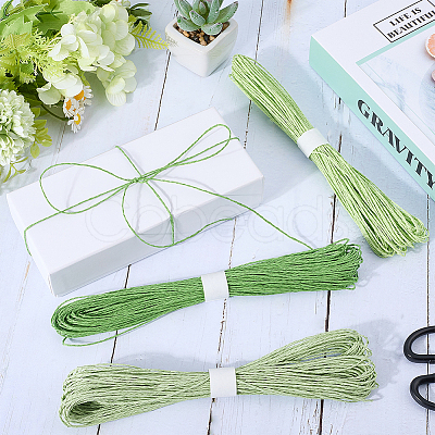 3 Bundles 3 Colors  Twisted Paper Cord DIY-CP0012-06A-1