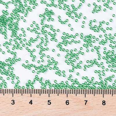 MIYUKI Round Rocailles Beads X-SEED-G009-RR0173-1