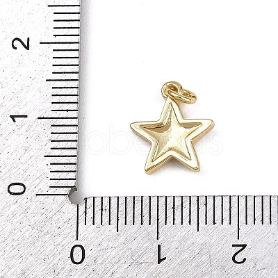 Brass Enamel Charms KK-B150-18G-01-1