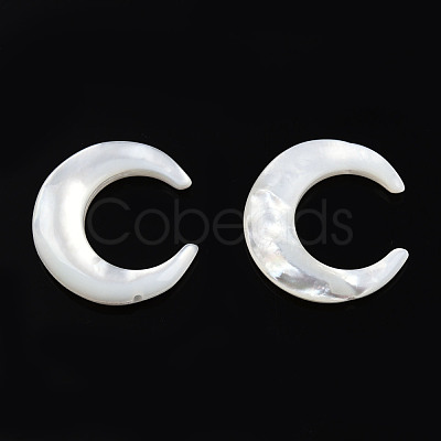 Natural White Shell Connector Charms SSHEL-N034-159-1