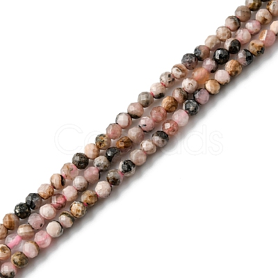 Natural Argentina Rhodonite Beads Strands G-M399-01A-1