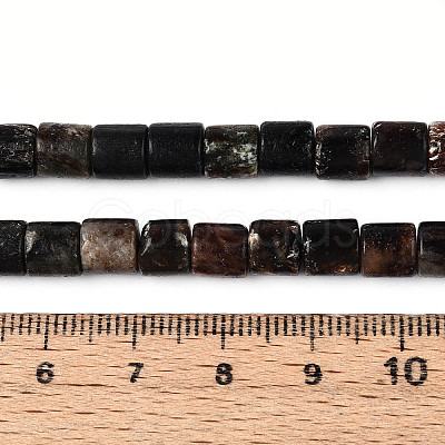 Natural Biotite Beads Strands G-T141-88A-1