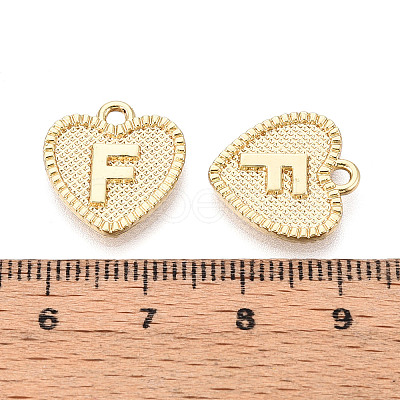 Alloy Pendants PALLOY-N157-001F-NR-1