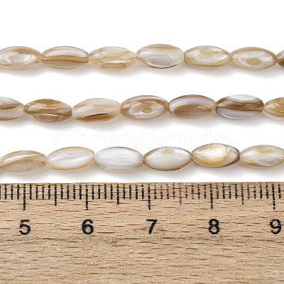 Natural Freshwater Shell Beads Strands SHEL-K006-78A-1