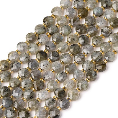 Natural Labradorite Beads Strands G-K389-B66-01-1