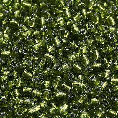 6/0 Glass Seed Beads X2-SEED-A005-4mm-24-1