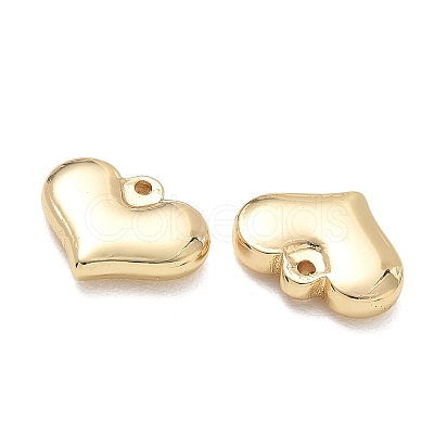 304 Stainless Steel Charms SA-CBA3037-20G-13-1