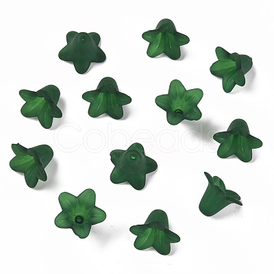 Transparent Acrylic Beads PLF018-09-1