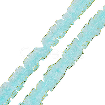 10M Double Layer Polyester Lace Ribbon OCOR-TA0004-14E-1