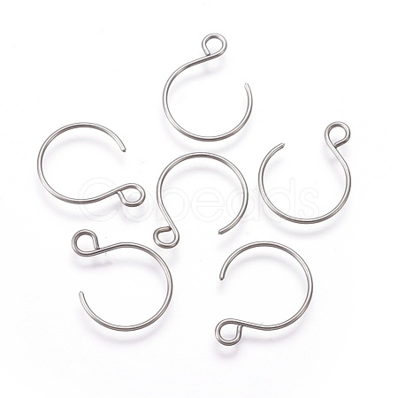 Tarnish Resistant 304 Stainless Steel Earring Hooks STAS-O119-10P-B-1