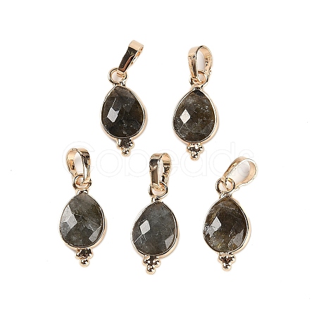 Natural Labradorite Faceted Pendans KK-L218-004G-02-1