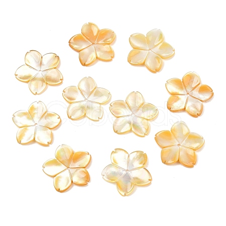 Natural Yellow Shell Carved Beads SSHEL-B006-07-1