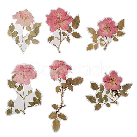 6Pcs Plant PET Adhesive Waterproof Stickers DIY-K074-01B-1