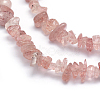 Natural Strawberry Quartz Beads Strands G-P332-53-2